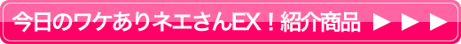 即決！ワケありネェさんEX紹介商品