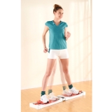 エアロライフ内転筋レクササイザー2