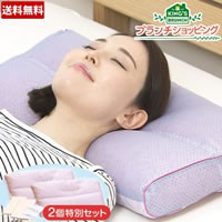 【特別価格】東京西川 眠りすとmore／2個セット（枕カバ−2枚＋洗濯ネット1枚）（送料無料）