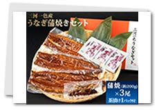 三河一色産 うなぎ蒲焼き3尾セット商品写真