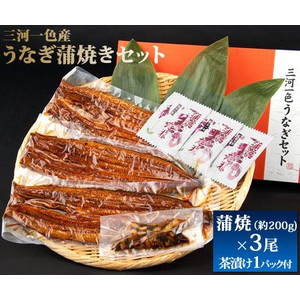 三河一色産うなぎ蒲焼商品写真