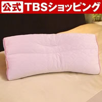 東京西川 眠りすとmore／1個