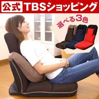 【特別価格】エアポールチェア