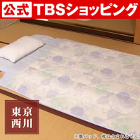 東京西川 しじら織 洗える肌掛布団