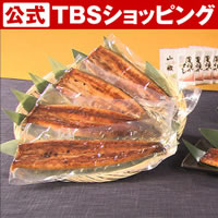 【贈答用】鹿児島県産はねだしうなぎ長焼き山椒タレ付／合計500g