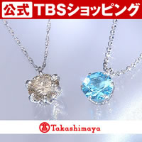 【限定196セット】高島屋プラチナ1ctダイヤペンダントセット