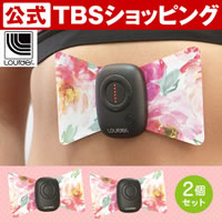 ルルド メガシェイプリボン2個セット