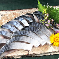 北海道釧路産「北釧鯖」使用　訳ありしめさば／15袋