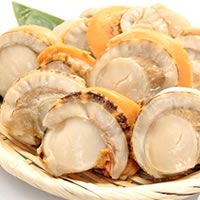 北海道 噴火湾産 蒸し帆立／1kg