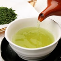 一番茶限定使用　静岡やぶきた川根茶／1kg