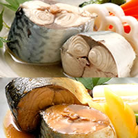 銚子産さばの缶詰／水煮缶＋味噌煮缶／各12缶　計24缶