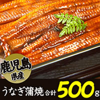 鹿児島県産うなぎ蒲焼きセット／合計500g