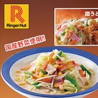 【今お得！】リンガーハット長崎ちゃんぽん＆皿うどん／計16食