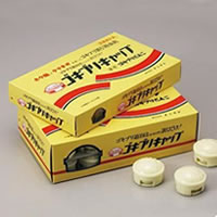 ゴキブリキャップ／60個セット