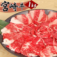 宮崎牛切り落とし／250g×2パック　計500g