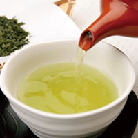 伊藤勝美茶園 静岡川根やぶきた新茶／計800g