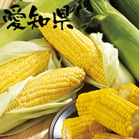 サニーショコラ／4.5kg