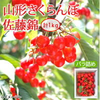 山形さくらんぼ「佐藤錦」（バラ詰め）／500g×2　計1kg